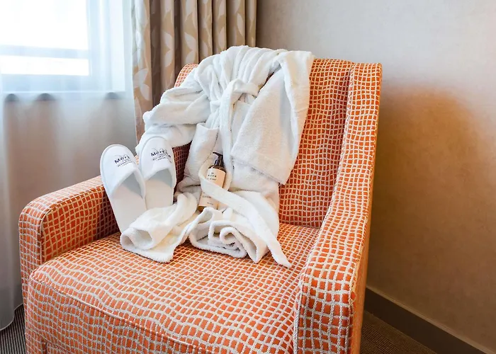 Mercure Ferrand Centre Jaude 4*